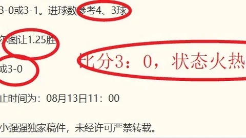 加拿大石油管道计划：打破对美依赖新篇章